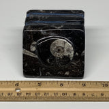 482g, 2.8" x 2.8" x 1.9" Black Fossils Orthoceras Ammonite Business Card Holder,
