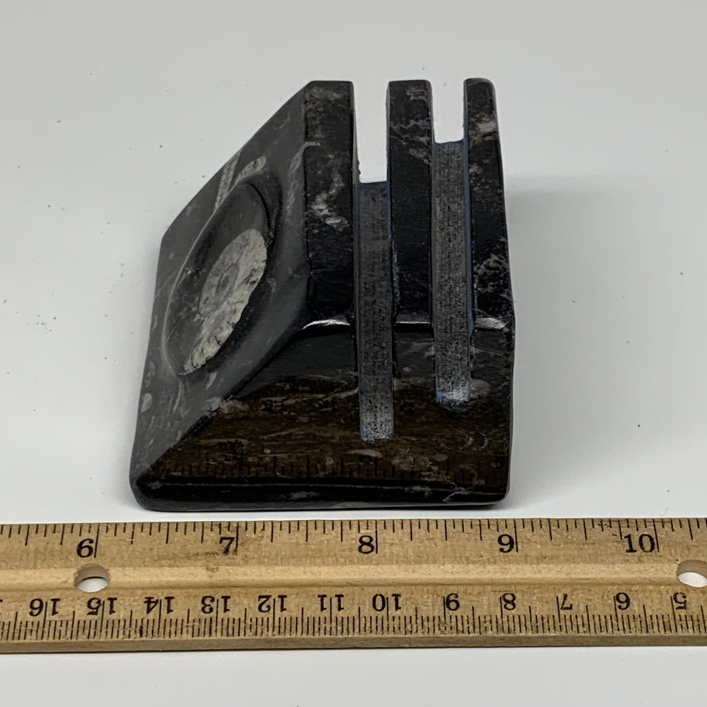 482g, 2.8" x 2.8" x 1.9" Black Fossils Orthoceras Ammonite Business Card Holder,