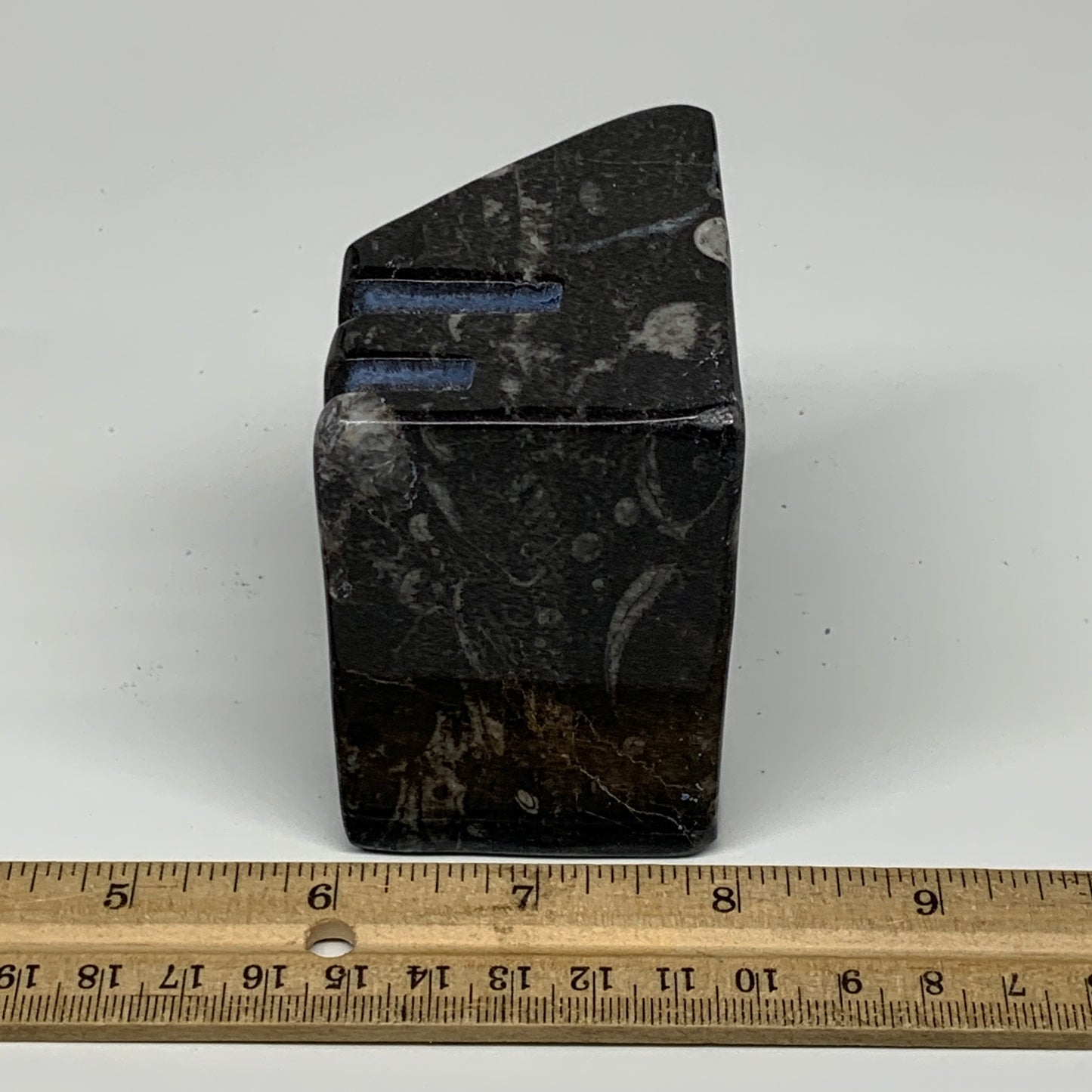 482g, 2.8" x 2.8" x 1.9" Black Fossils Orthoceras Ammonite Business Card Holder,