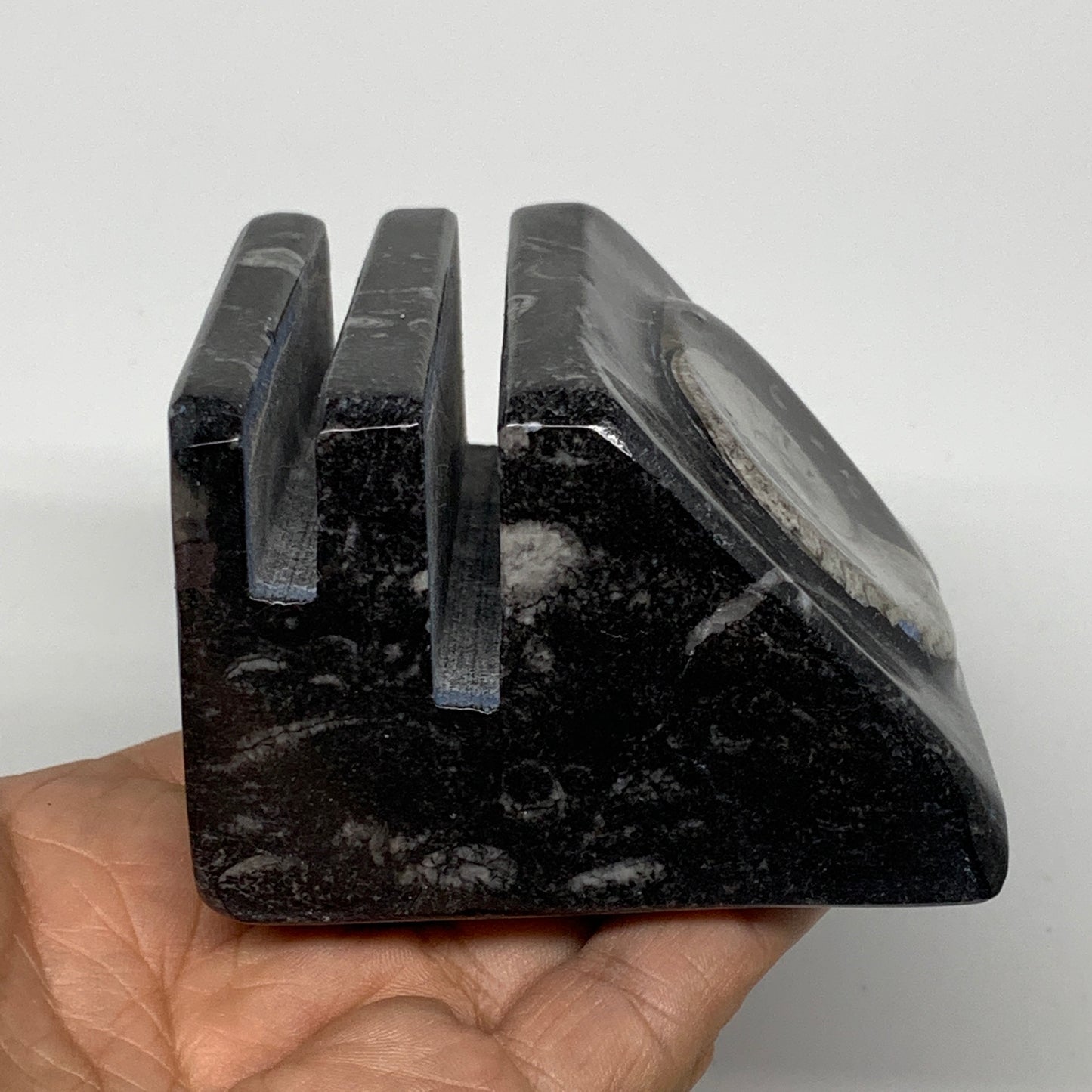 520g, 2.9" x 2.9" x 1.9" Black Fossils Orthoceras Ammonite Business Card Holder,