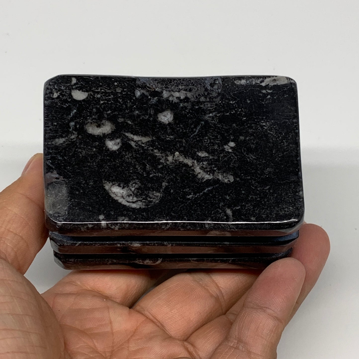 520g, 2.9" x 2.9" x 1.9" Black Fossils Orthoceras Ammonite Business Card Holder,