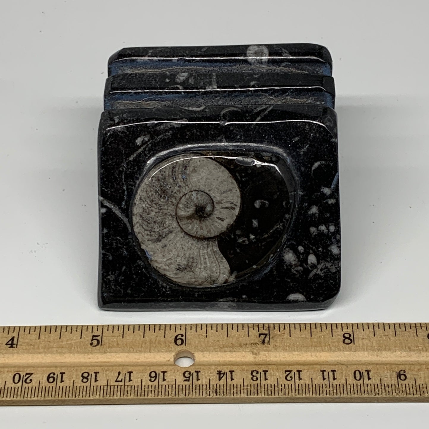 520g, 2.9" x 2.9" x 1.9" Black Fossils Orthoceras Ammonite Business Card Holder,