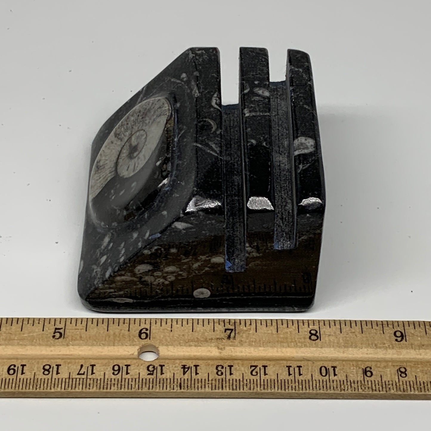 520g, 2.9" x 2.9" x 1.9" Black Fossils Orthoceras Ammonite Business Card Holder,
