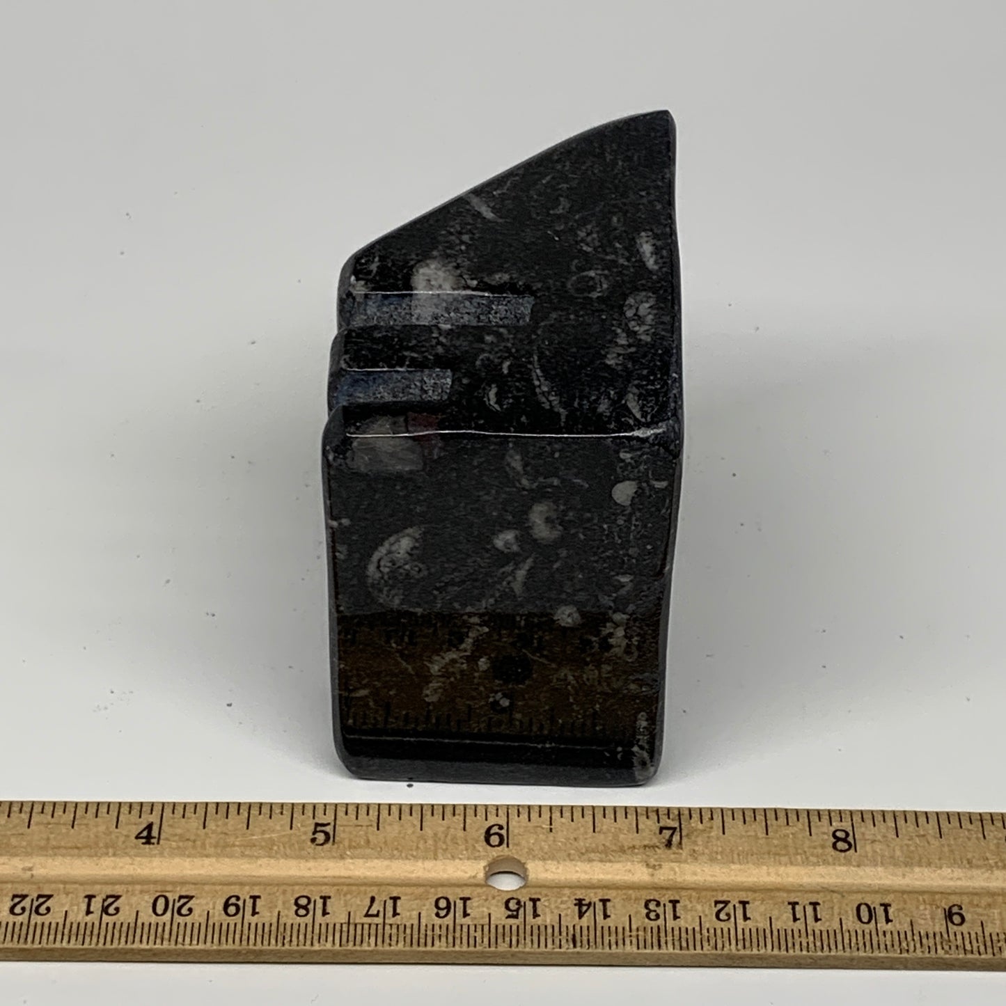 520g, 2.9" x 2.9" x 1.9" Black Fossils Orthoceras Ammonite Business Card Holder,