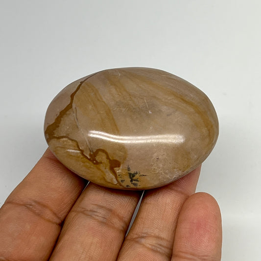59.5g, 2.2"x1.7"x0.7" Picture Jasper Palm-Stone Gemstone Home Decor, B20301