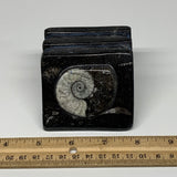 492g, 2.8" x 2.9" x 2" Black Fossils Orthoceras Ammonite Business Card Holder,B8