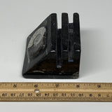 492g, 2.8" x 2.9" x 2" Black Fossils Orthoceras Ammonite Business Card Holder,B8