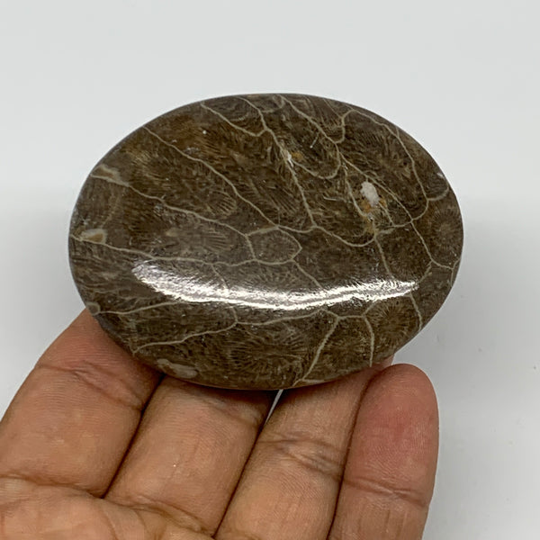 91.4g,2.6"x2"x 0.8", Coral Fossils Palm-Stone Polished from Morocco, B20382