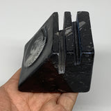 482g, 2.7" x 2.8" x 2" Black Fossils Orthoceras Ammonite Business Card Holder,B8