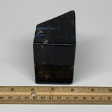 482g, 2.7" x 2.8" x 2" Black Fossils Orthoceras Ammonite Business Card Holder,B8