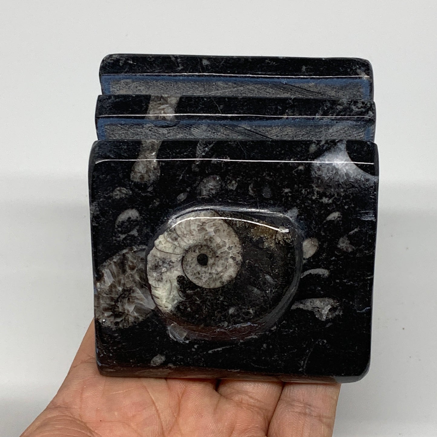 524g, 3" x 3" x 2" Black Fossils Orthoceras Ammonite Business Card Holder,B8258