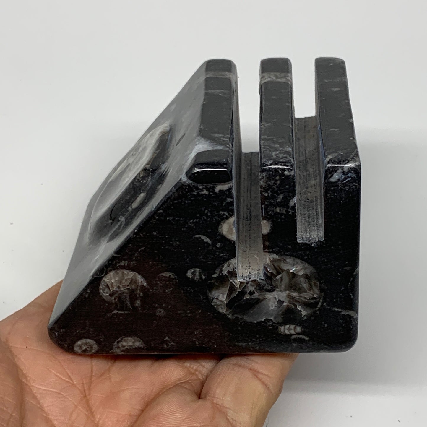 524g, 3" x 3" x 2" Black Fossils Orthoceras Ammonite Business Card Holder,B8258