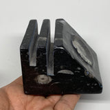 524g, 3" x 3" x 2" Black Fossils Orthoceras Ammonite Business Card Holder,B8258