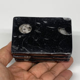 524g, 3" x 3" x 2" Black Fossils Orthoceras Ammonite Business Card Holder,B8258