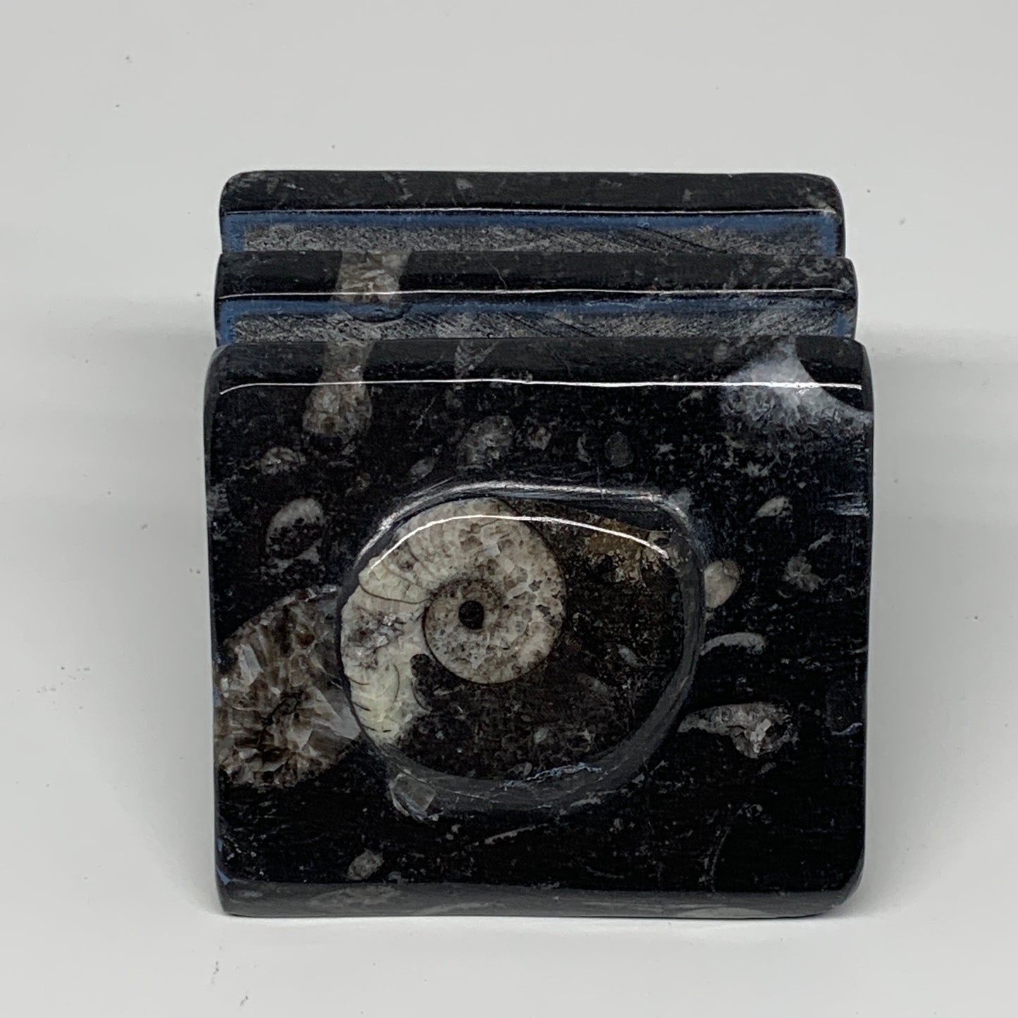 524g, 3" x 3" x 2" Black Fossils Orthoceras Ammonite Business Card Holder,B8258