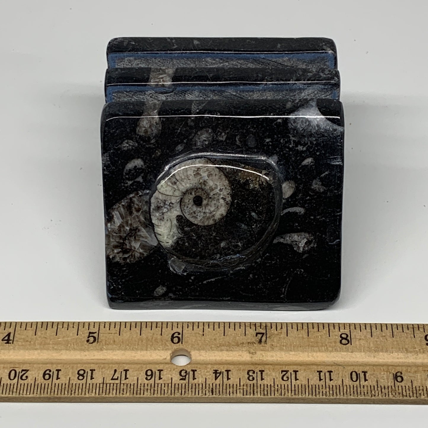 524g, 3" x 3" x 2" Black Fossils Orthoceras Ammonite Business Card Holder,B8258
