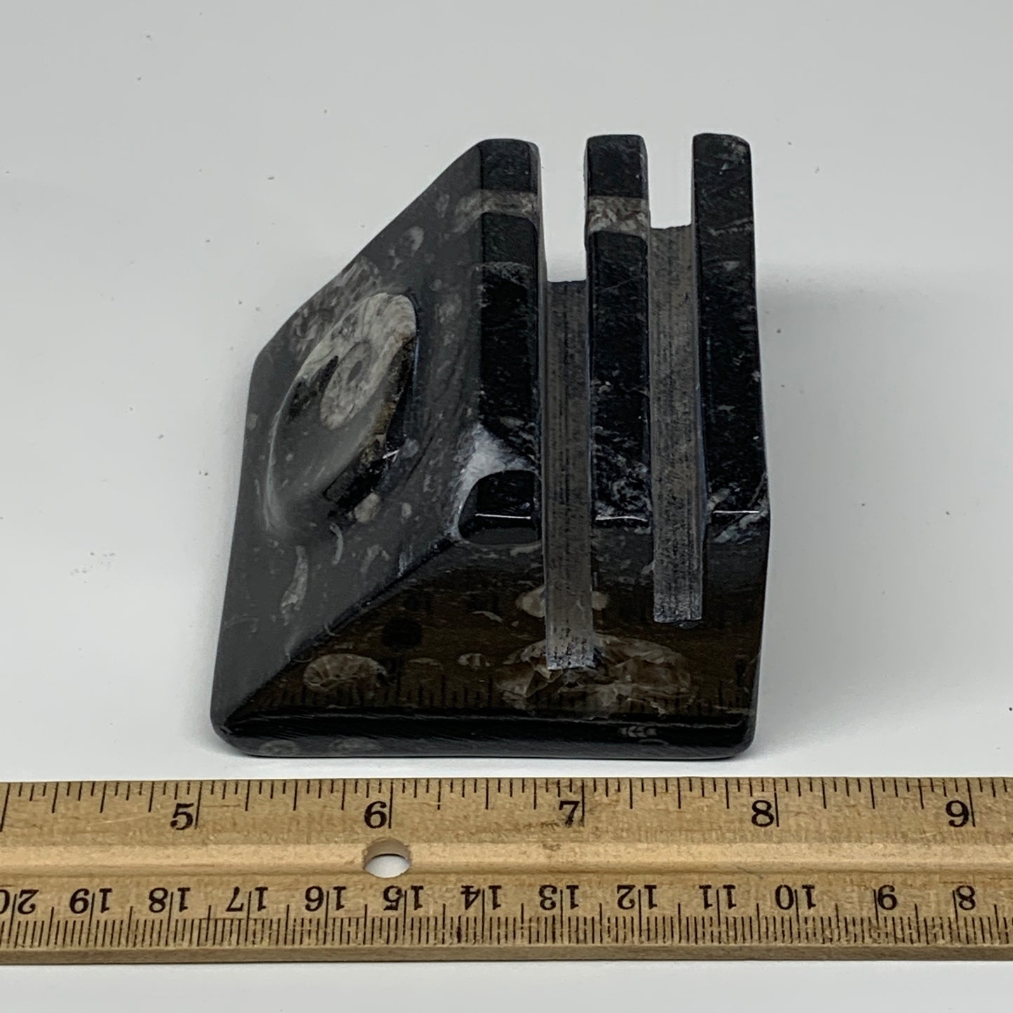 524g, 3" x 3" x 2" Black Fossils Orthoceras Ammonite Business Card Holder,B8258