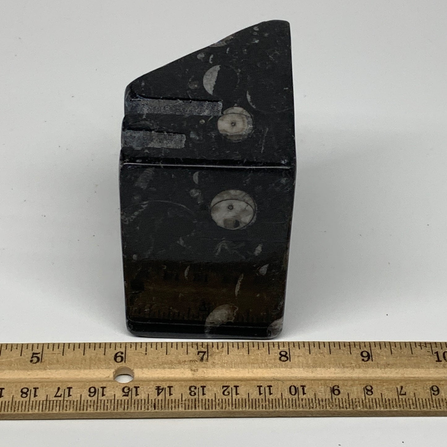 524g, 3" x 3" x 2" Black Fossils Orthoceras Ammonite Business Card Holder,B8258