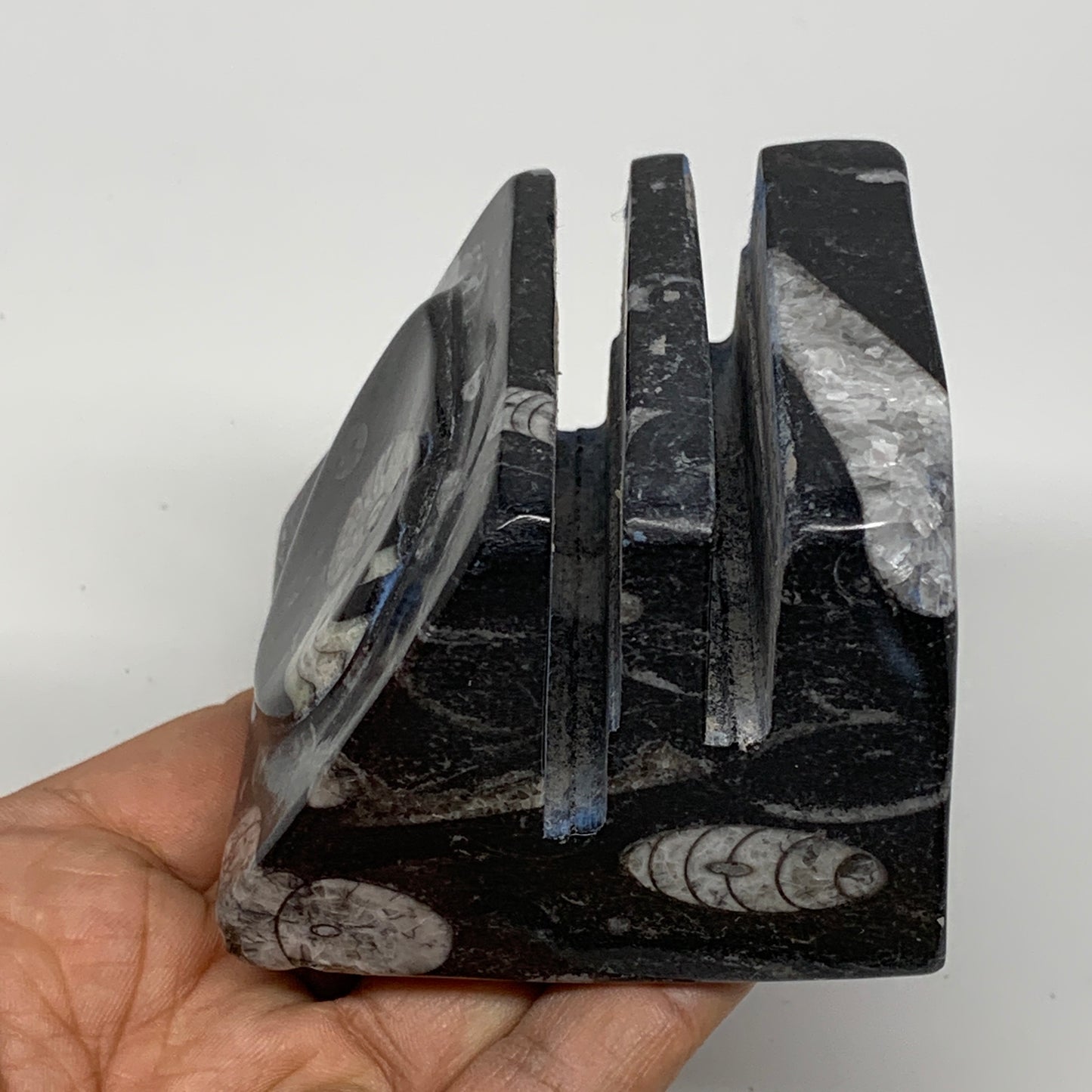 470g, 2.6" x 2.8" x 2.1" Black Fossils Orthoceras Ammonite Business Card Holder,