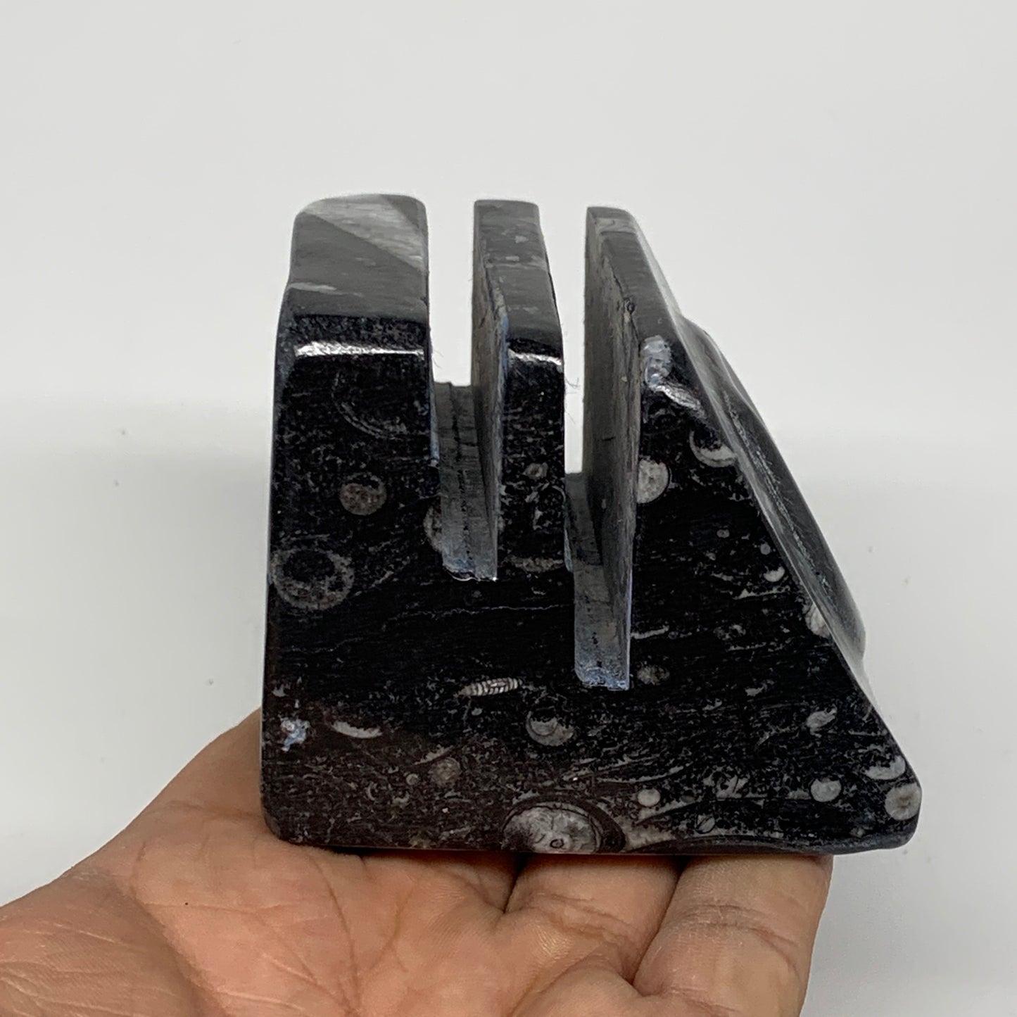 470g, 2.6" x 2.8" x 2.1" Black Fossils Orthoceras Ammonite Business Card Holder,