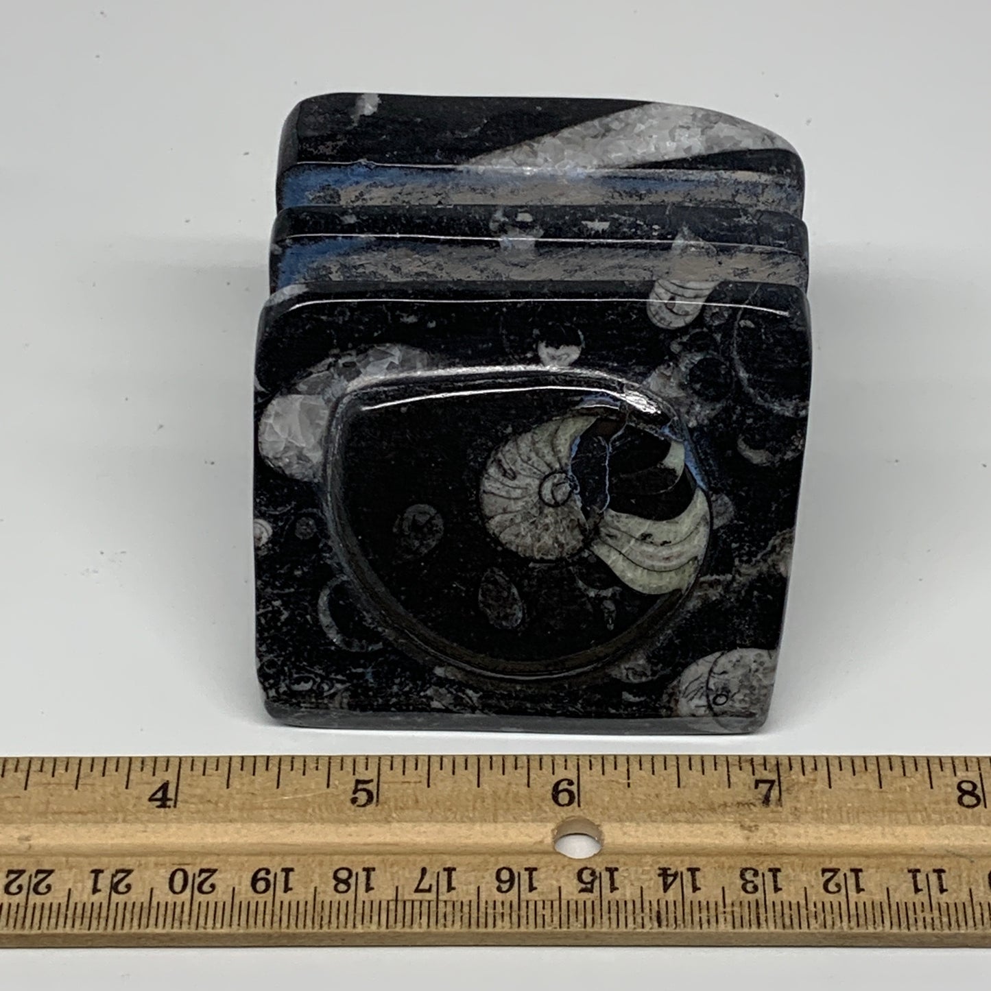 470g, 2.6" x 2.8" x 2.1" Black Fossils Orthoceras Ammonite Business Card Holder,