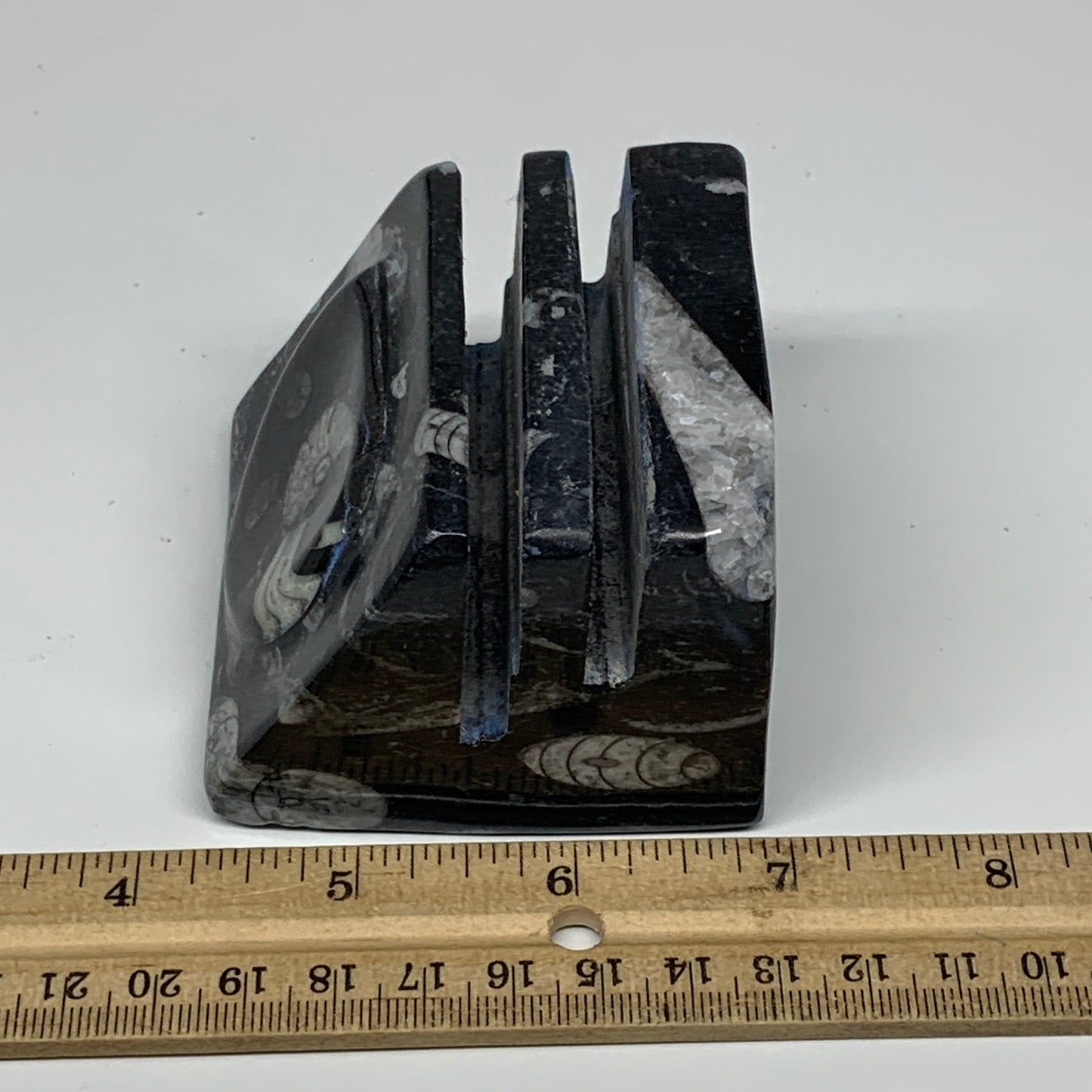 470g, 2.6" x 2.8" x 2.1" Black Fossils Orthoceras Ammonite Business Card Holder,