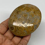158.3g,3"x2.4"x 1", Coral Fossils Palm-Stone Polished from Morocco, B20386