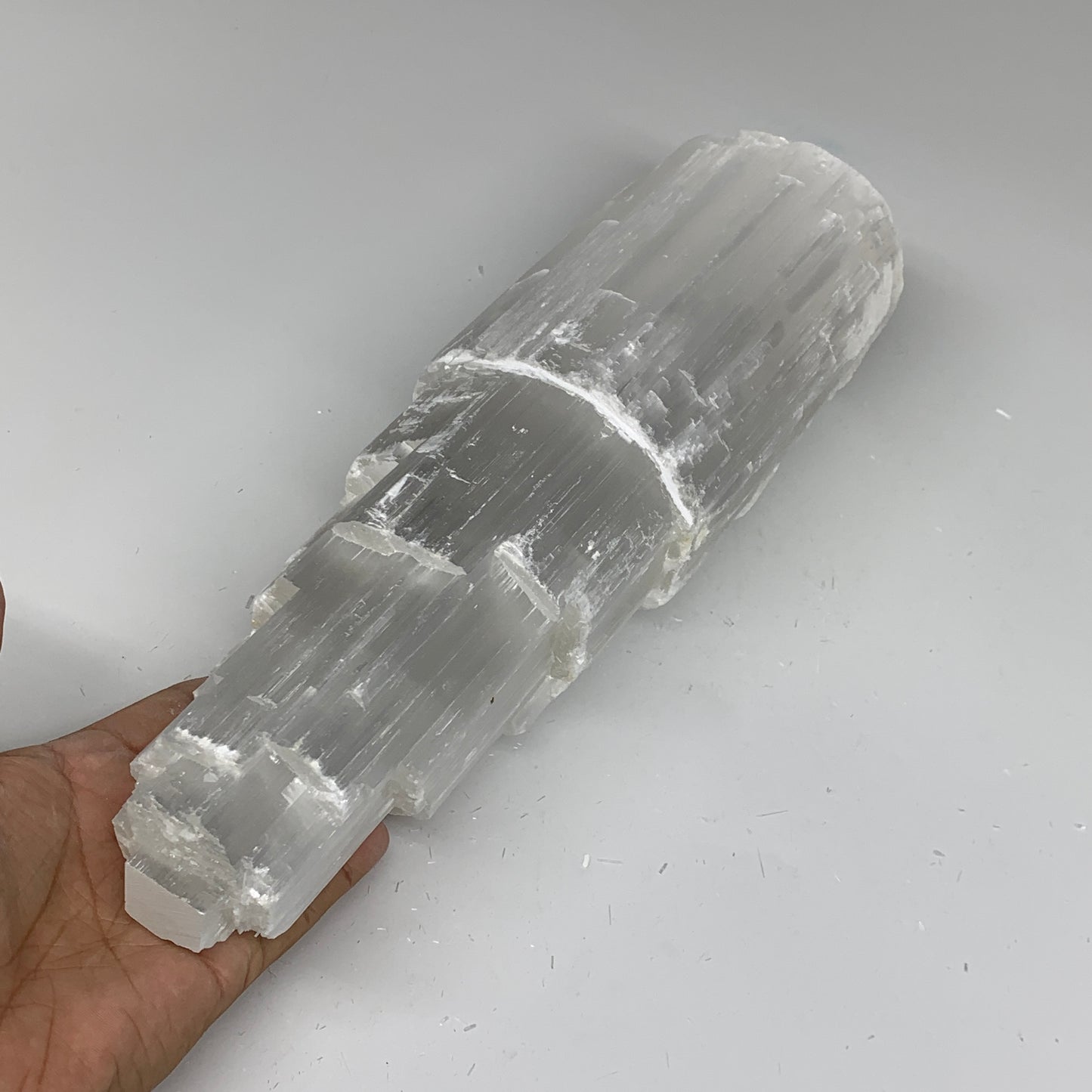 6.3 lb,11.75"x3.3" White Selenite (Satin Spar) Rough Lamp W/Chord @Morocco,B1240