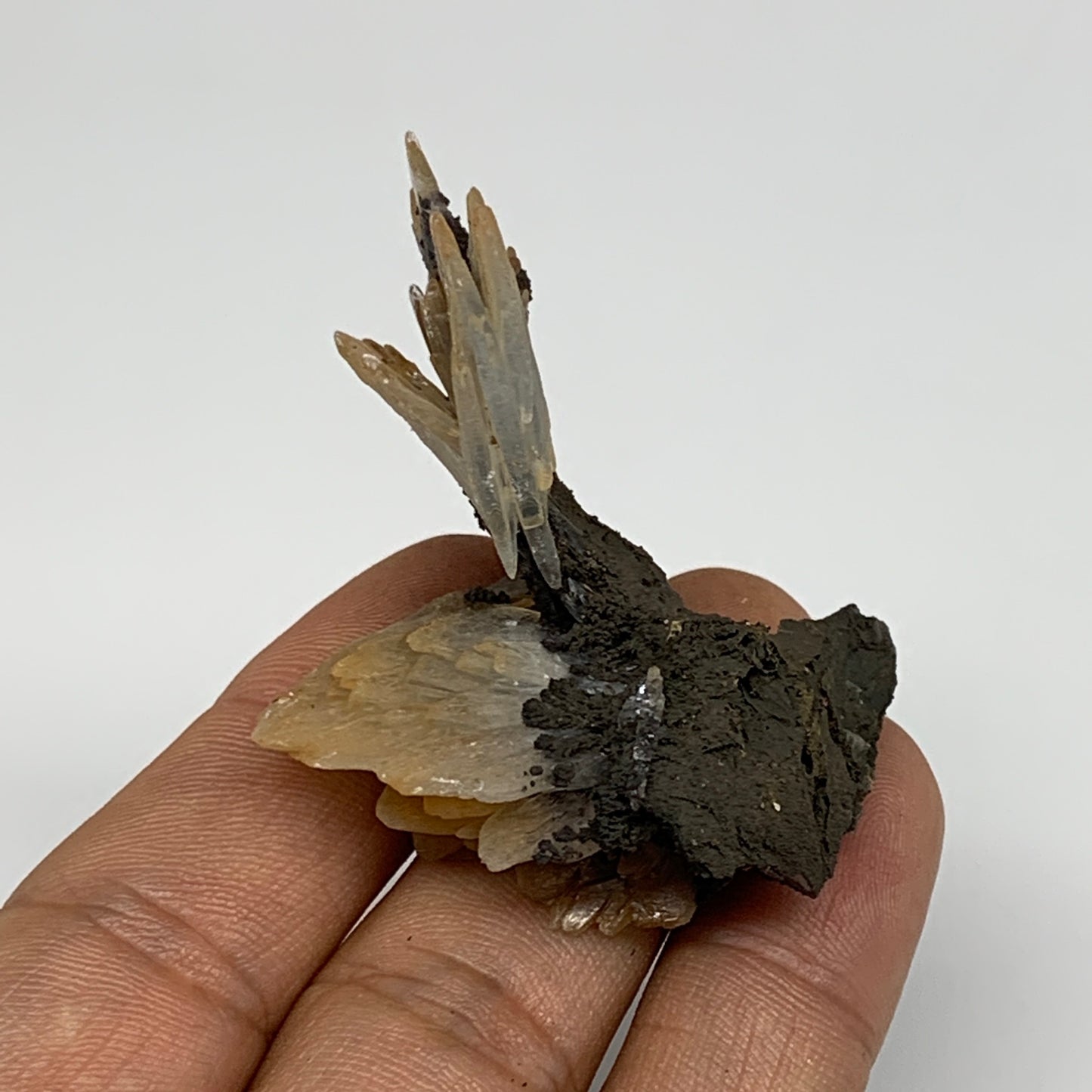 27.7g, 1.5"x2.2"x1", Small Blue Barite Mineral Specimen @Morocco, B10786