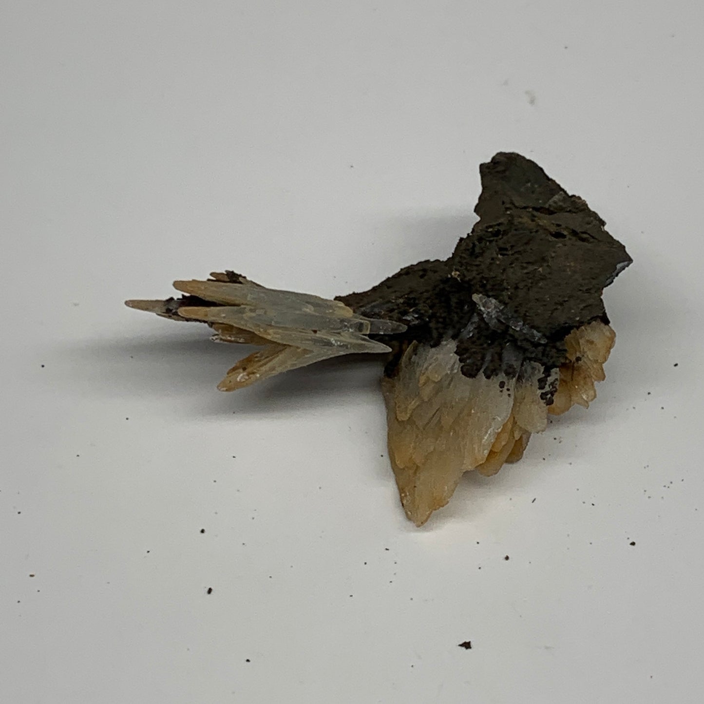 27.7g, 1.5"x2.2"x1", Small Blue Barite Mineral Specimen @Morocco, B10786