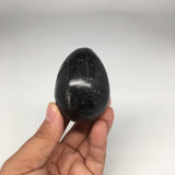 198.3g, 2.5"x1.8" Hand Polished Fossil Orthoceras Stone Egg from Morocco,FE34