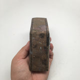 400g Marquise Shape Orthoceras Fossil Ammonite Brown Jewelry Box @Morocco, FJ105