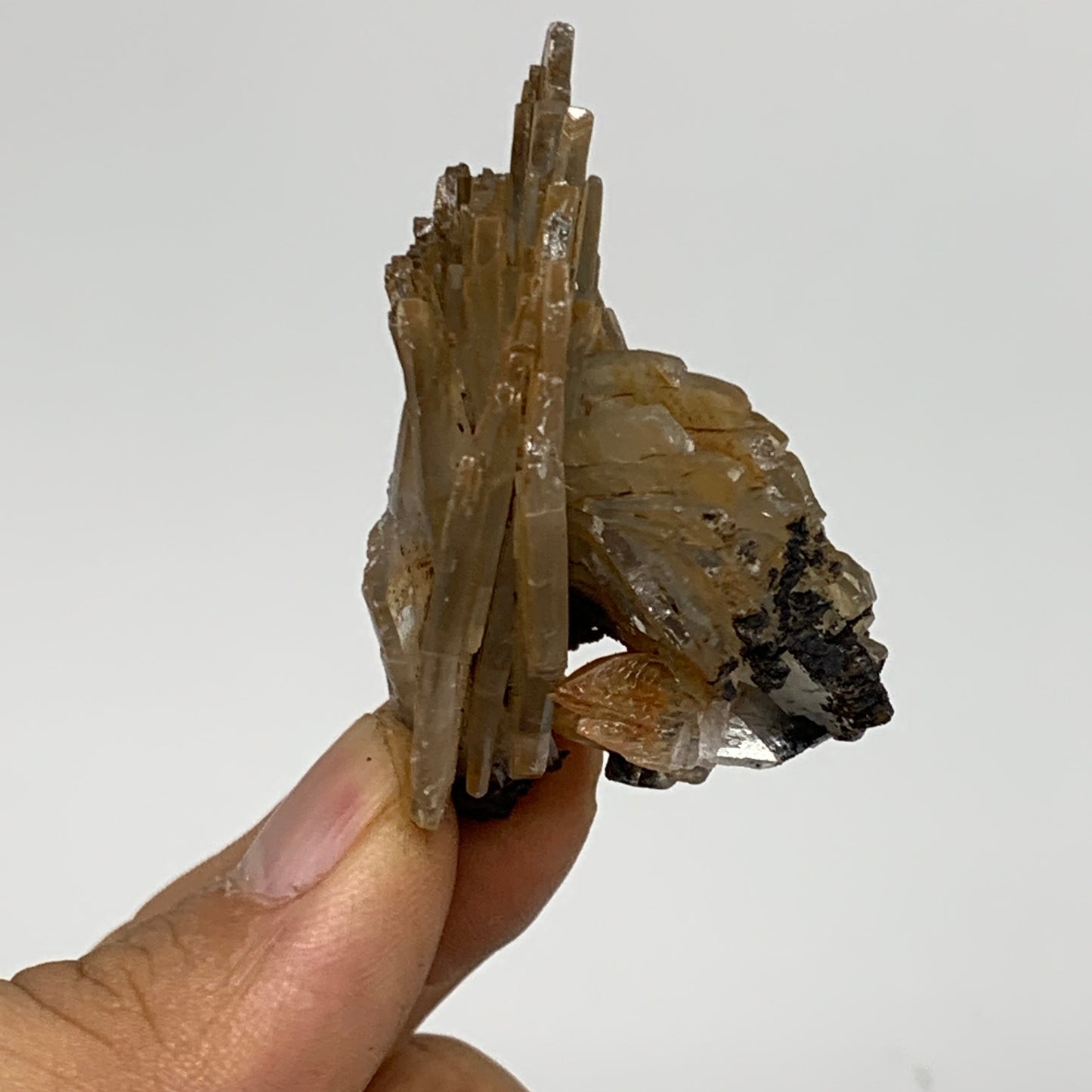 42.7g, 1.9"x1.8"x1.1", Small Blue Barite Mineral Specimen @Morocco, B10795