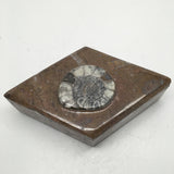 370g Marquise Shape Orthoceras Fossil Ammonite Brown Jewelry Box @Morocco, FJ108 - watangem.com