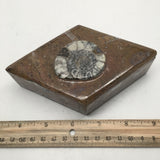 370g Marquise Shape Orthoceras Fossil Ammonite Brown Jewelry Box @Morocco, FJ108 - watangem.com