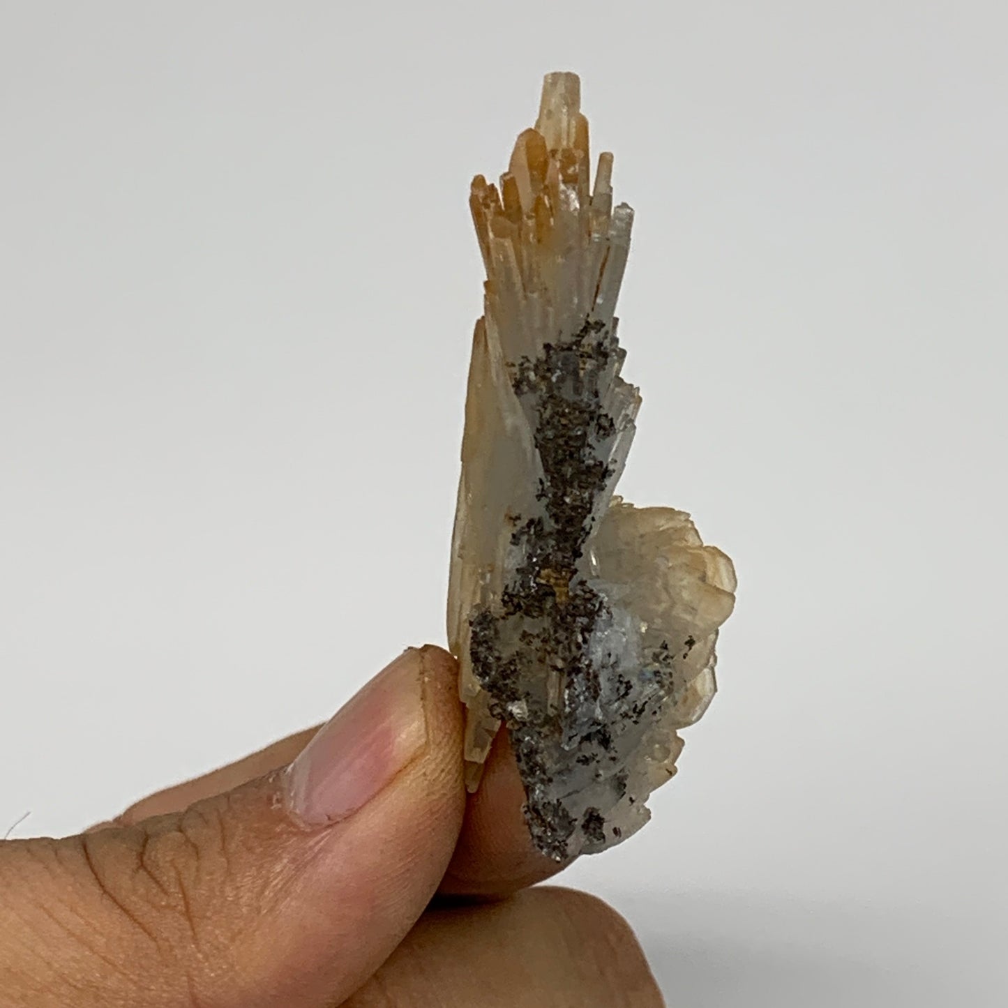 29.2g, 2.1"x1.1"x0.7", Small Blue Barite Mineral Specimen @Morocco, B10798