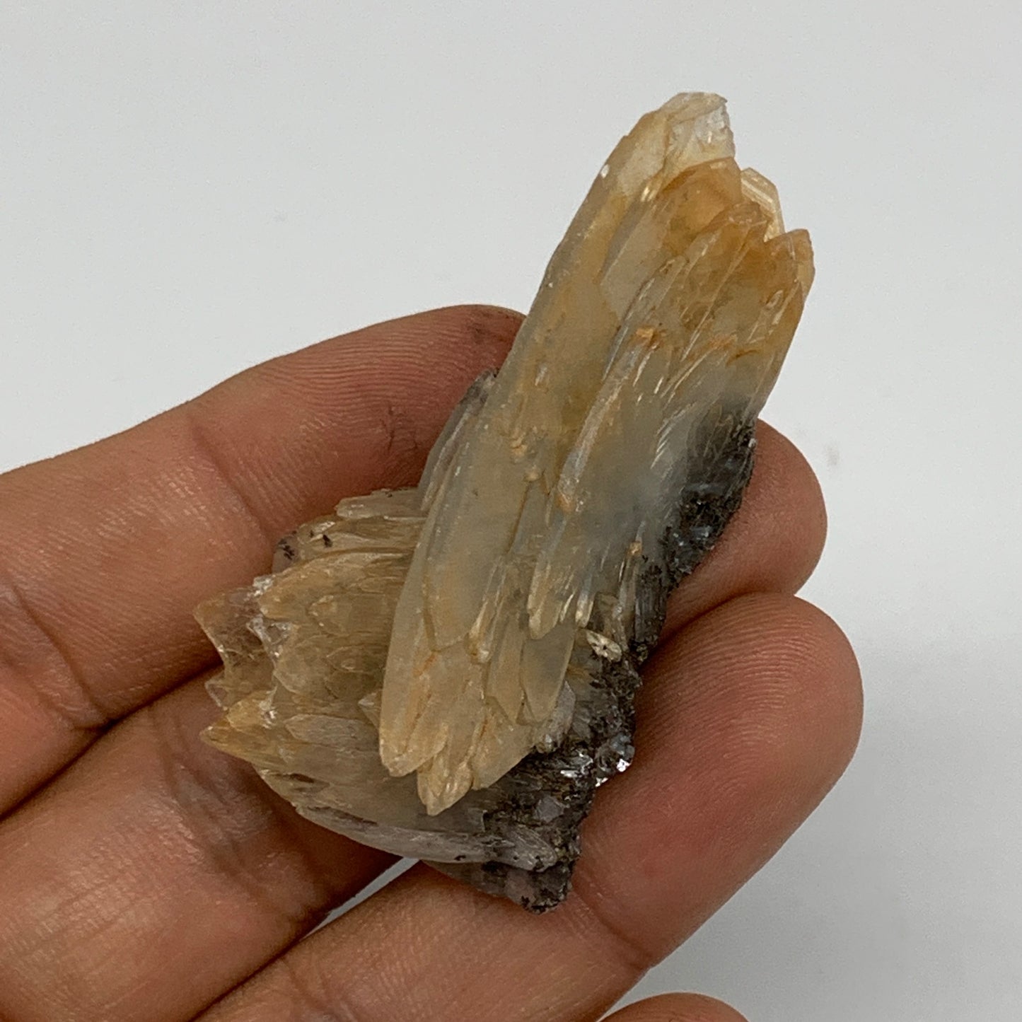 29.2g, 2.1"x1.1"x0.7", Small Blue Barite Mineral Specimen @Morocco, B10798