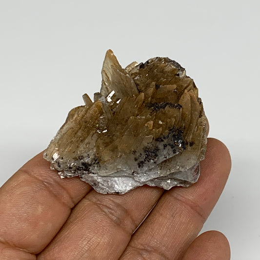 38.3g, 1.7"x1.9"x0.6", Small Blue Barite Mineral Specimen @Morocco, B10799