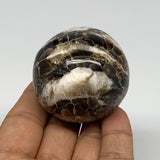 124.5g, 1.8" (46mm), Chocolate/Gray Onyx Sphere Ball Gemstone @Morocco, B18887
