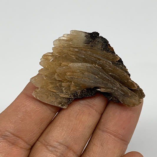 24.4g, 1.8"x1.3"x0.7", Small Blue Barite Mineral Specimen @Morocco, B10802