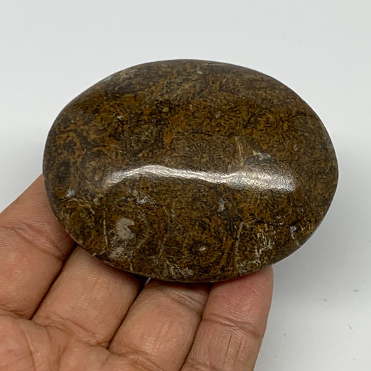 112.5g,2.7"x2.1"x 0.9", Coral Fossils Palm-Stone Polished from Morocco, B20405