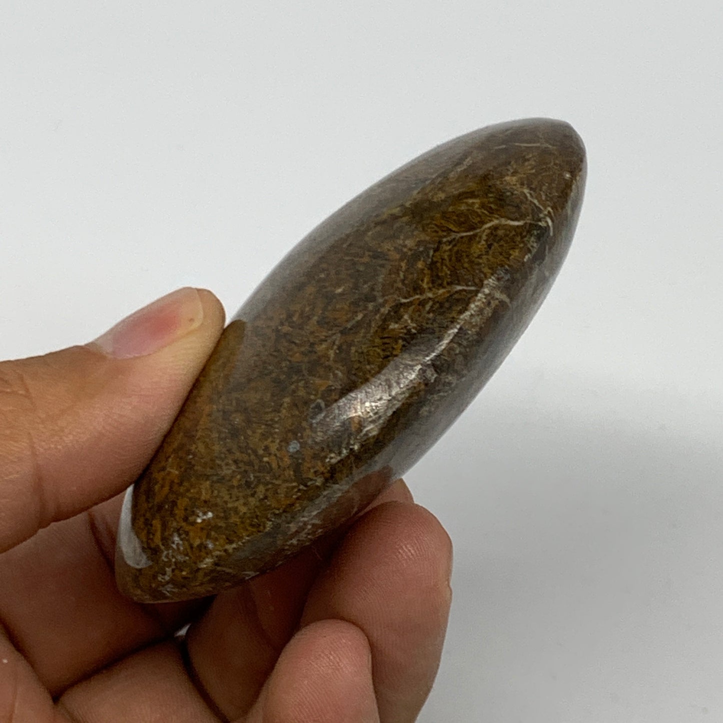 112.5g,2.7"x2.1"x 0.9", Coral Fossils Palm-Stone Polished from Morocco, B20405