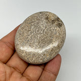 64.1g,2.3"x1.9"x0.6", Small Dinosaur Bones Palm-Stone from Morocco, B20449