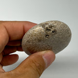 64.1g,2.3"x1.9"x0.6", Small Dinosaur Bones Palm-Stone from Morocco, B20449