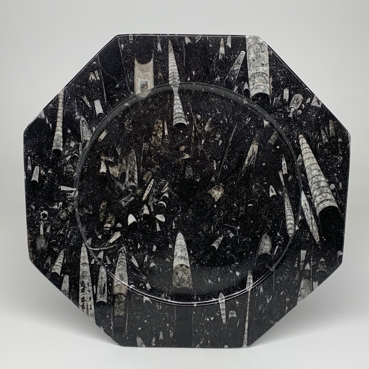 2pcs, 12" Large Octagon Shape Black Fossils Orthoceras Plates @Morocco, B8285