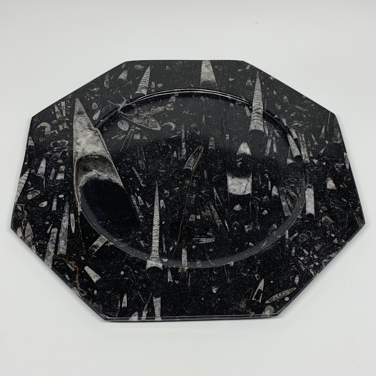 2pcs, 12" Large Octagon Shape Black Fossils Orthoceras Plates @Morocco, B8285