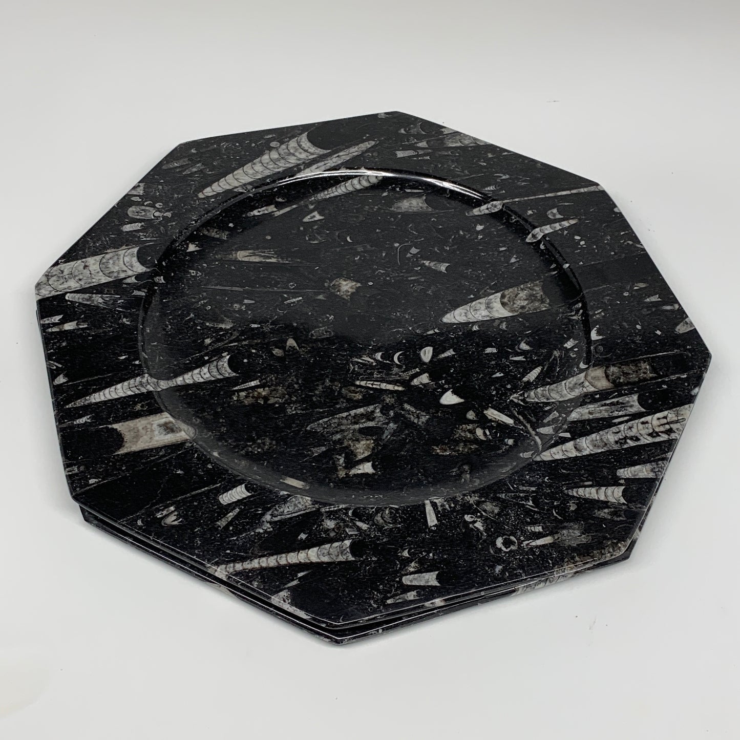 2pcs, 12" Large Octagon Shape Black Fossils Orthoceras Plates @Morocco, B8285