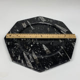 2pcs, 12" Large Octagon Shape Black Fossils Orthoceras Plates @Morocco, B8285