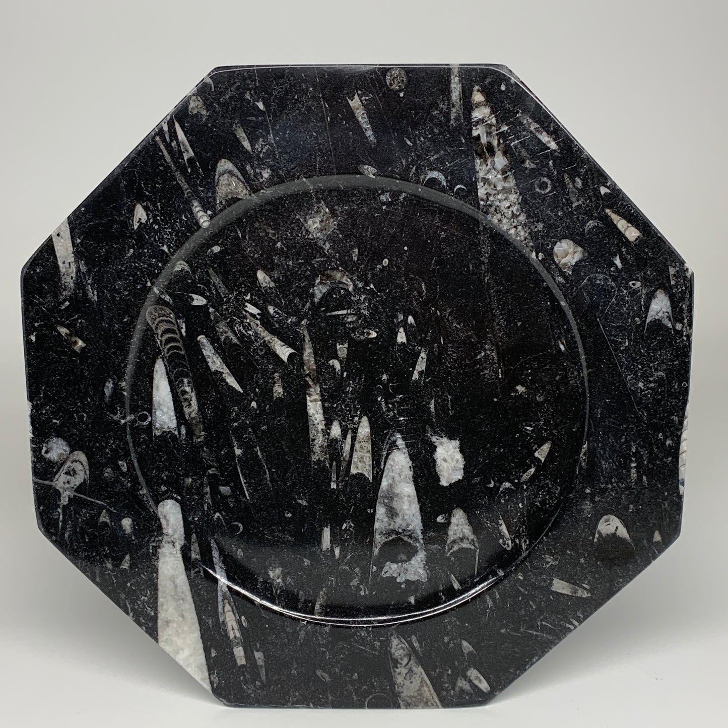 2pcs, 12" Large Octagon Shape Black Fossils Orthoceras Plates @Morocco, B8287