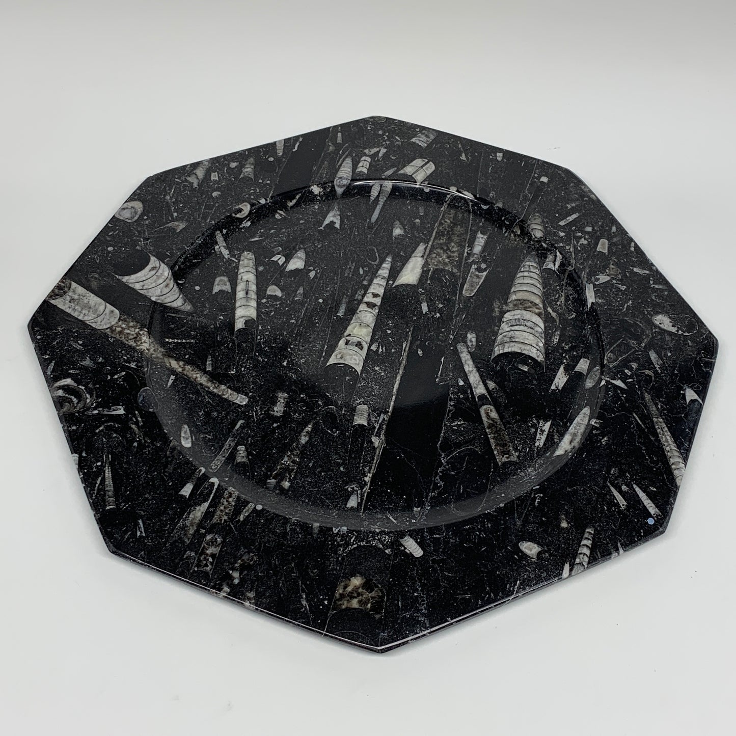 2pcs, 12" Large Octagon Shape Black Fossils Orthoceras Plates @Morocco, B8287